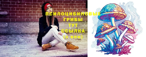 ГАЛЛЮЦИНОГЕННЫЕ ГРИБЫ Белоозёрский