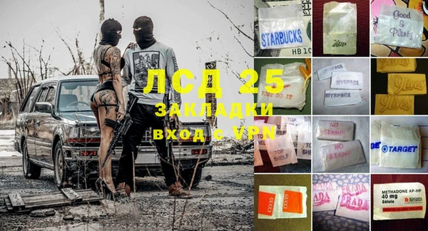 ГАЛЛЮЦИНОГЕННЫЕ ГРИБЫ Белоозёрский