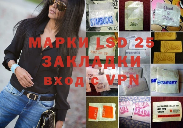 ГАЛЛЮЦИНОГЕННЫЕ ГРИБЫ Белоозёрский